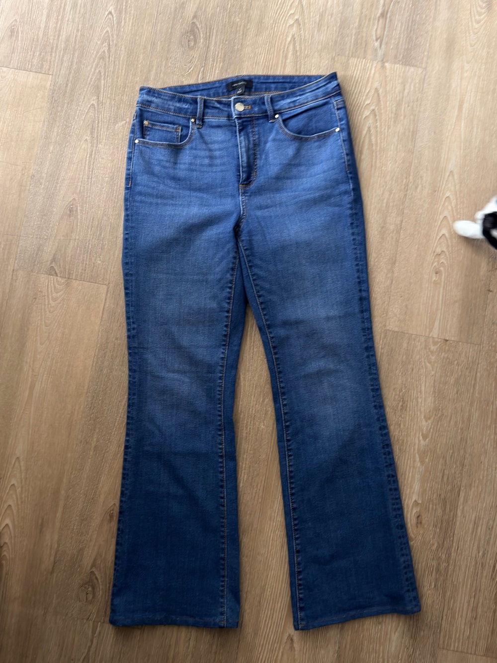 Ann Taylor Navy Blue Flare Jeans  (( Please read the description.))